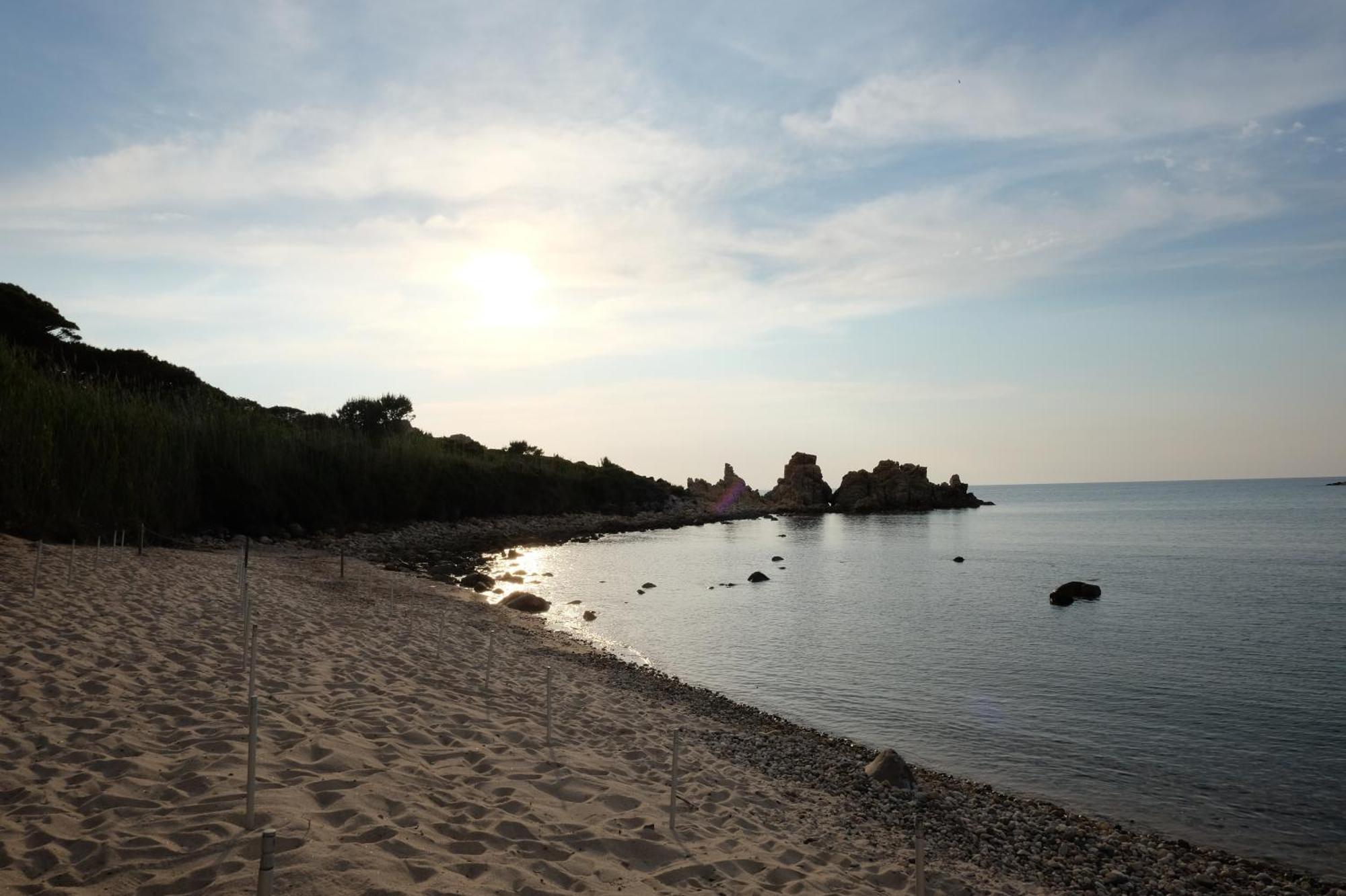 Calarossa Sardinia Apartments Isola Rossa Eksteriør bilde